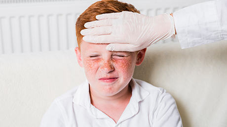 תמונת אווירה